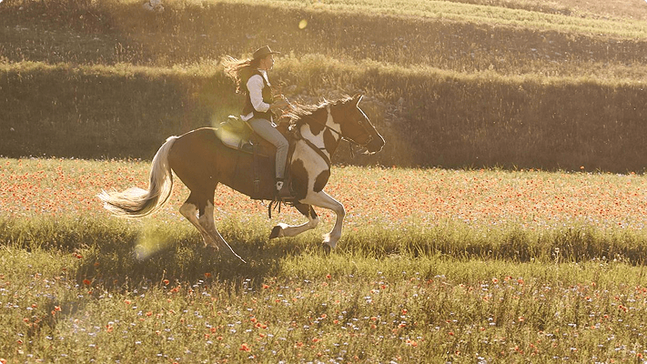 Sibillini Ranch